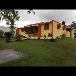 Meet your Posher, Luis